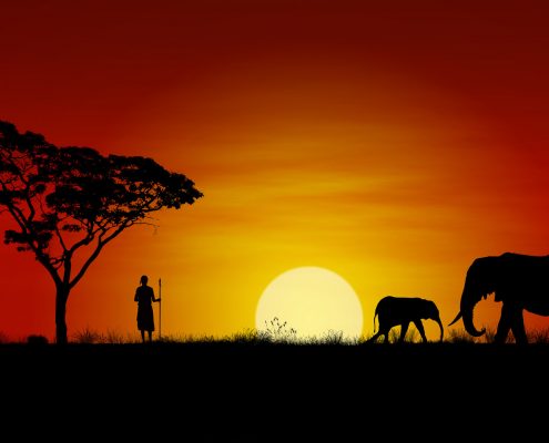 Sonnenuntergang mit Elefanten und einem Massai Krieger - Villa-Kuishi - Diani Beach - Kenia - Ihr exklusives Ferienhaus unter der Sonne Ostafrikas