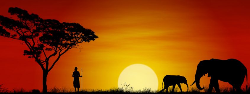 Sonnenuntergang mit Elefanten und einem Massai Krieger - Villa-Kuishi - Diani Beach - Kenia - Ihr exklusives Ferienhaus unter der Sonne Ostafrikas