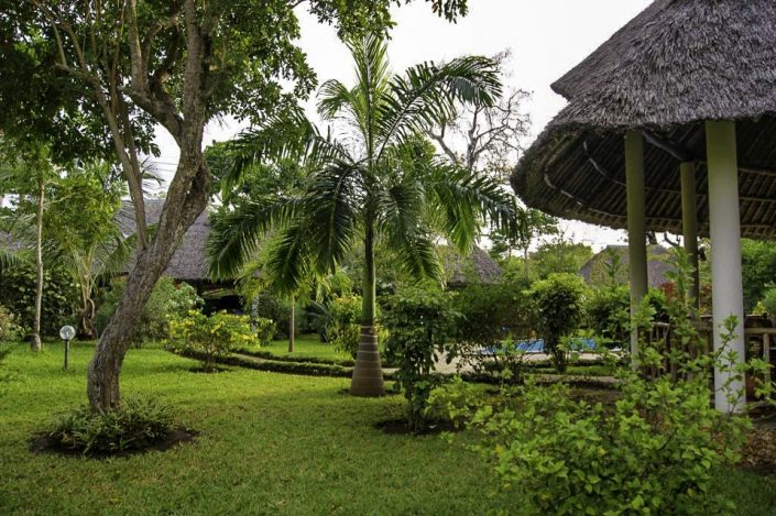Die Villa liegt in einer geschlossenen Wohnanlage Msitu Kwetu und ist umgeben von tropischer Natur - Villa-Kuishi - Diani Beach - Kenia - Ihr exklusives Ferienhaus unter der Sonne Ostafrikas